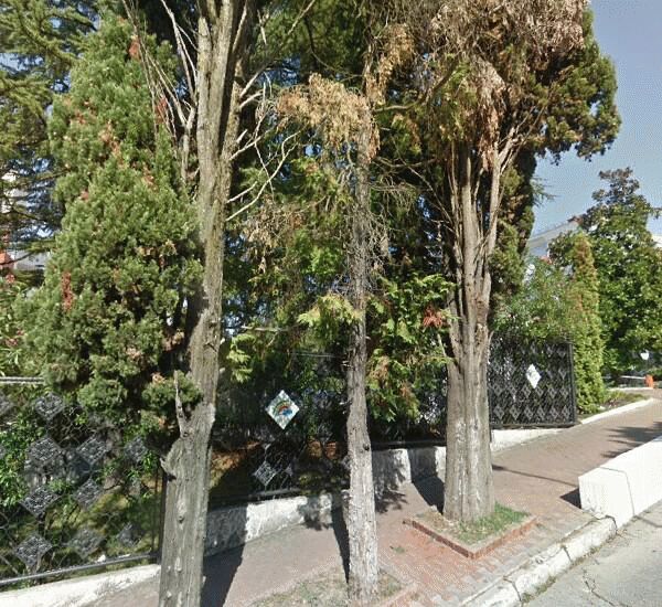 Банкомат Сбербанка России по адресу ул. Виноградная,  53